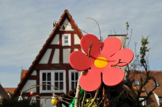 Auch das ist Bad Wimpfen.  | Foto: Daniela Somers
