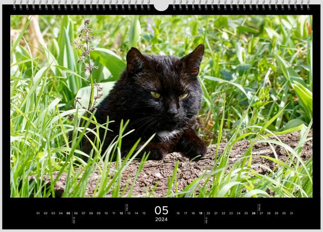 Das ist mein Baum! | Foto: WKY