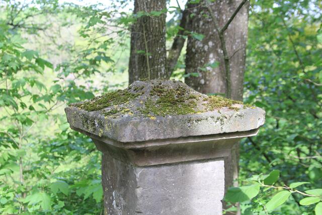 oben angekommen | Foto: Ralf Röser