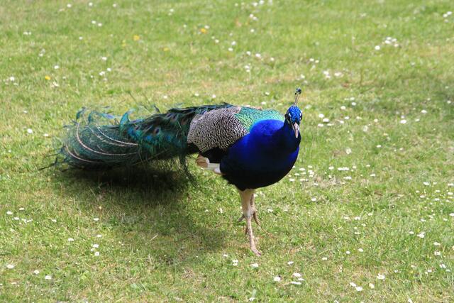 was für ein schöner | Foto: Ralf Röser