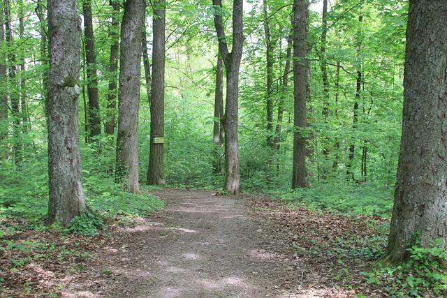 da lang | Foto: Ralf Röser