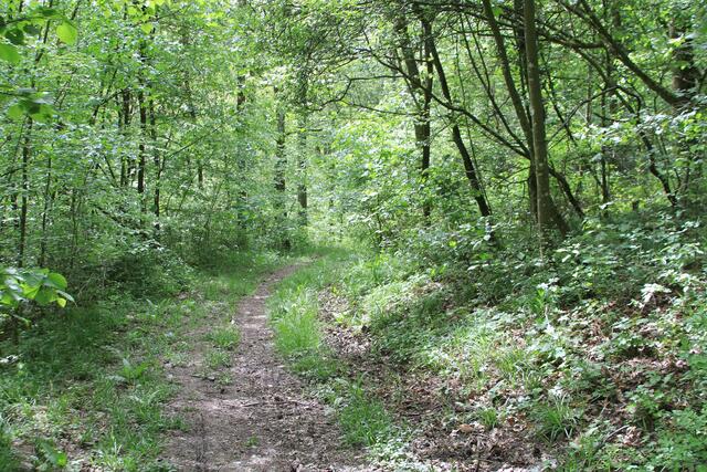 und weiter | Foto: Ralf Röser