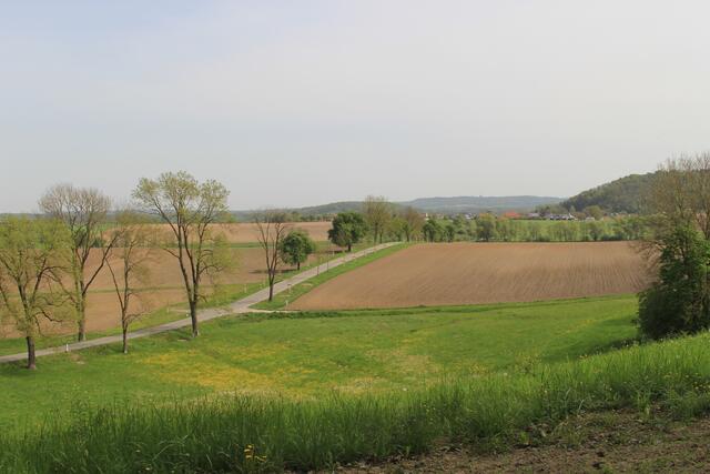 Rückblick | Foto: Ralf Röser