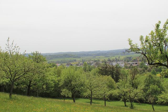 CR | Foto: Ralf Röser