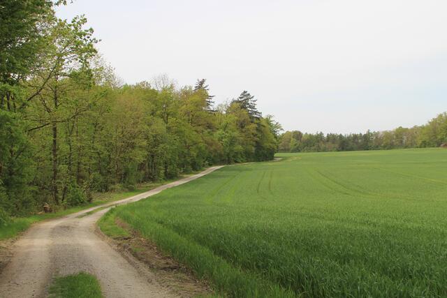 Ausblick | Foto: Ralf Röser