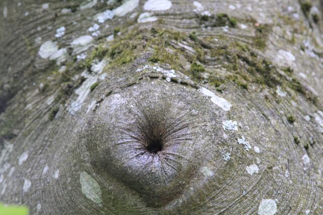 ui | Foto: Ralf Röser