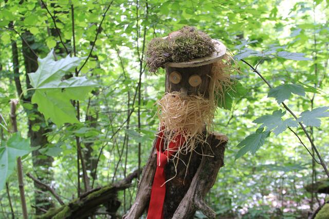 hihi | Foto: Ralf Röser