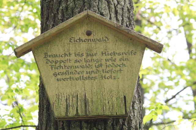 Info | Foto: Ralf Röser