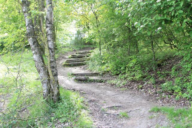 da rauf | Foto: Ralf Röser