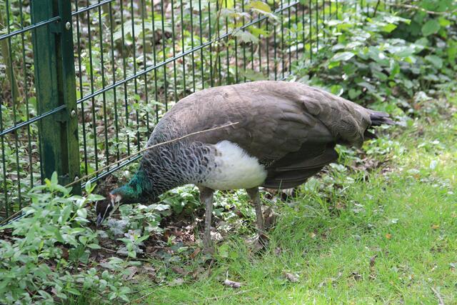 hunger | Foto: Ralf Röser