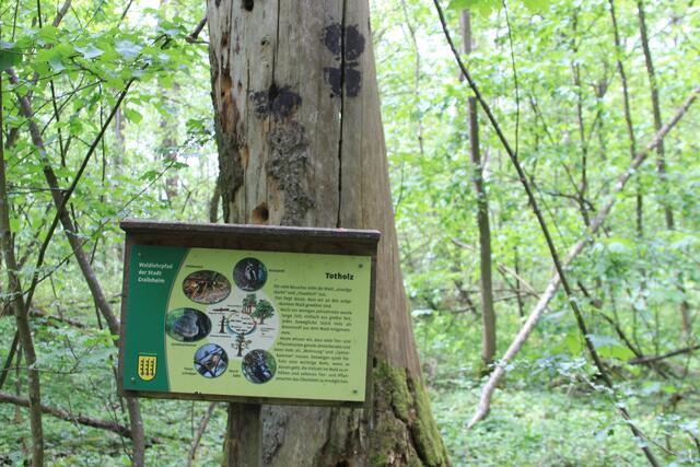 aha | Foto: Ralf Röser