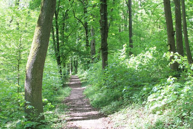 da rauf | Foto: Ralf Röser