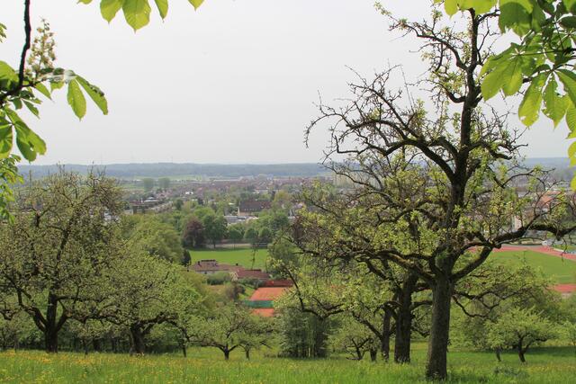 CR | Foto: Ralf Röser