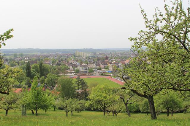 CR | Foto: Ralf Röser