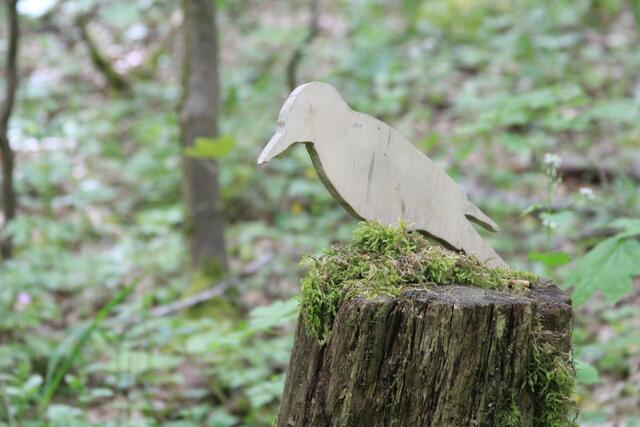 schee | Foto: Ralf Röser