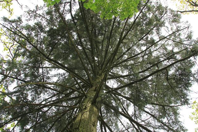 oben | Foto: Ralf Röser