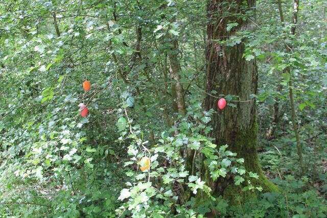 Reste von Ostern | Foto: Ralf Röser