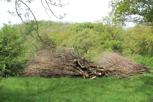 und weiter | Foto: Ralf Röser