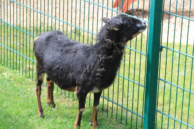 hello | Foto: Ralf Röser