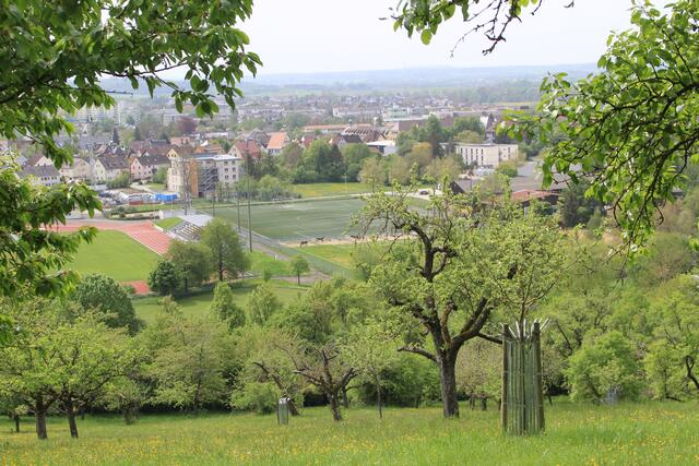 CR | Foto: Ralf Röser