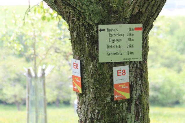 Info | Foto: Ralf Röser