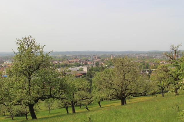 CR | Foto: Ralf Röser