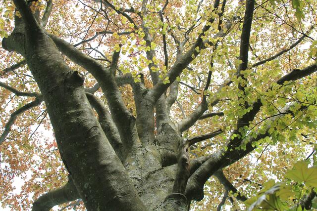 oben | Foto: Ralf Röser