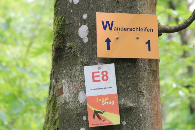 Info | Foto: Ralf Röser