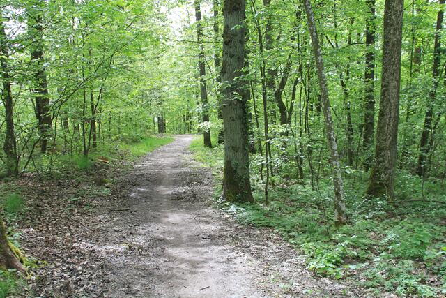 und weiter | Foto: Ralf Röser