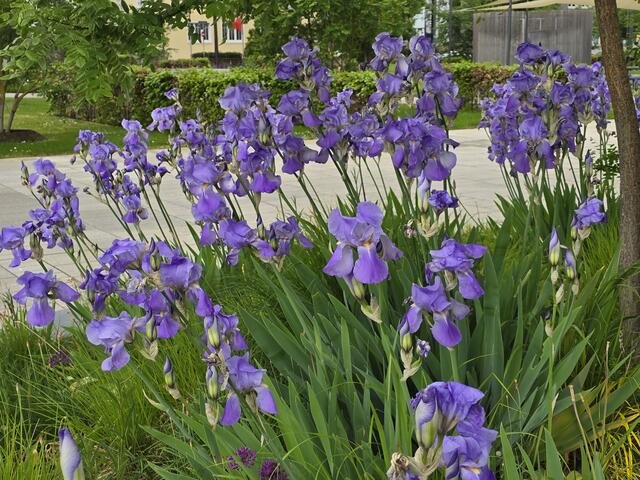 Foto: Heidrun Rosenberger