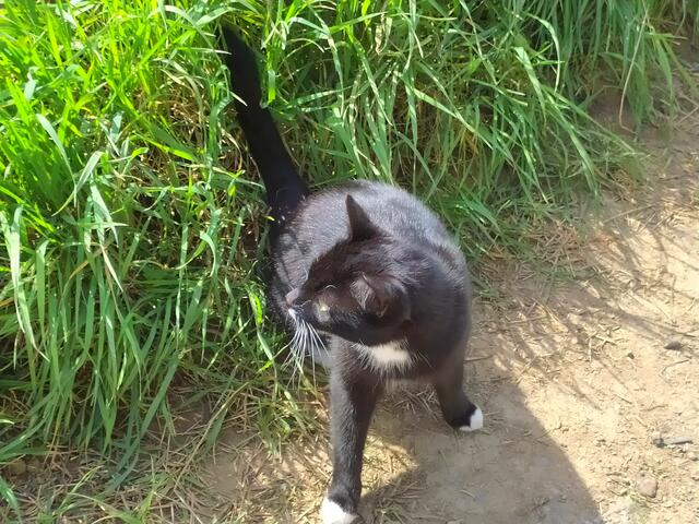 Denn ich träum immerzu von ihr 😍😍😍. Sie ist so zuckersüß. Ich glaube, sie heißt Samira... 😉 | Foto: sigischlottke