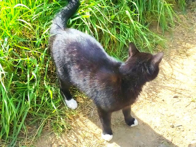 "Na, deshalb bist du auch nicht mein Dosenöffner..... Du brauchst mich nur mit auf die Wanderung nehmen. Hab gehört, dass es bei der Fleckinger Mühle eine ganz arg Süße gibt - die wollte ich gerne beehren. Du musst dort auch nicht auf mich warten, das wird ein bisschen länger dauern 😂😍😂😍". | Foto: sigischlottke