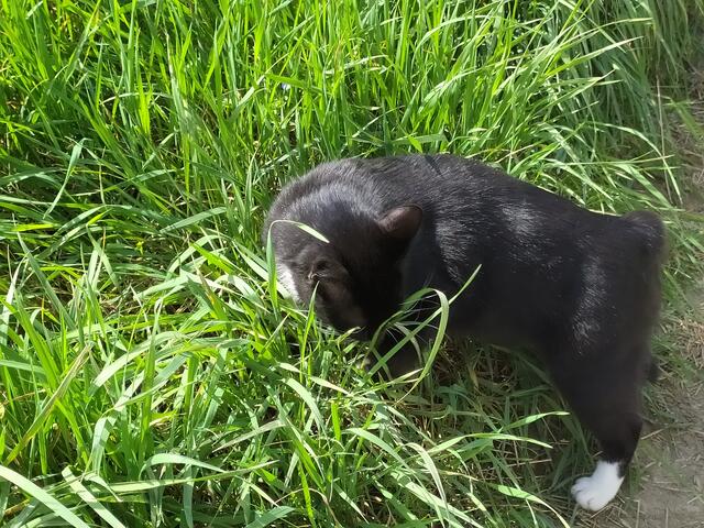 "Na gut, es sei dir noch einmal verziehen. Nächstes Mal auf jeden Fall Fleckinger Mühle, Samira..... du weißt schon 😃🥰.... "

Ok, ciao, ciao... 
Puuh, gerade nochmal gut gegangen 😂...  | Foto: sigischlottke