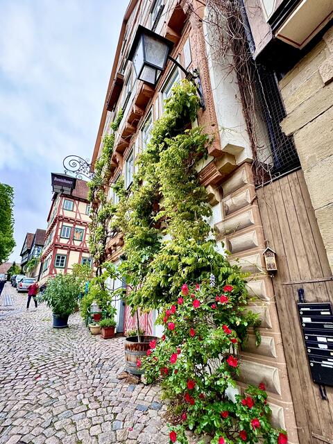 Foto: U. Hannemann