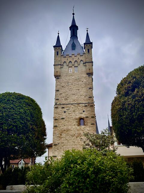 Foto: U. Hannemann
