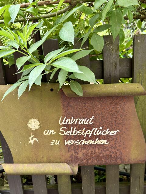 Foto: U. Hannemann