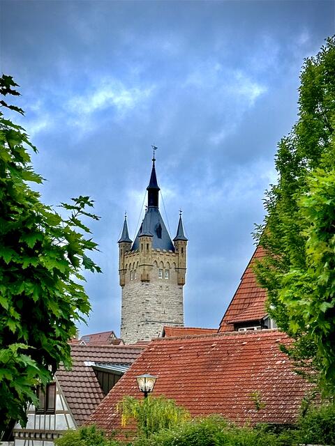 Foto: U. Hannemann