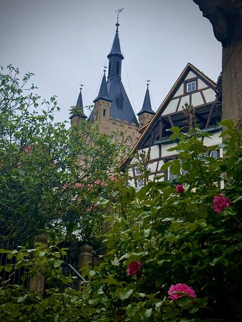 Foto: U. Hannemann