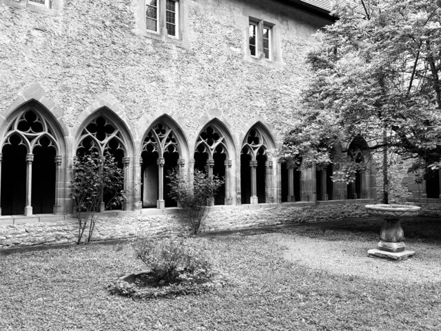 Foto: U. Hannemann