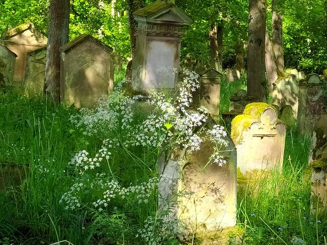 Auf jüdischen Friedhöfen darf die Natur absolut präsent sein. Vieles darf wachsen wie die Natur es vorgesehen hat.  | Foto: sigischlottke
