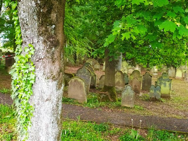 Grün bemoost leuchten die Grabsteine und verbreiten eine mystische Stimmung | Foto: sigischlottke