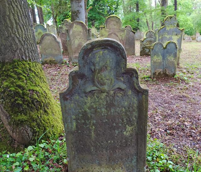 Die alten Grabsteine strahlen Ruhe aus.  | Foto: sigischlottke
