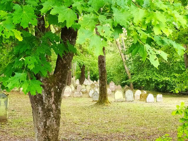 Der Blick von außen auf die Gräber | Foto: sigischlottke