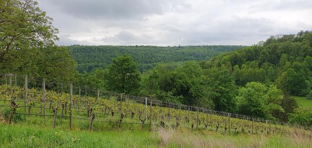 Foto: privat Sibylle Tröber und Esther Eder