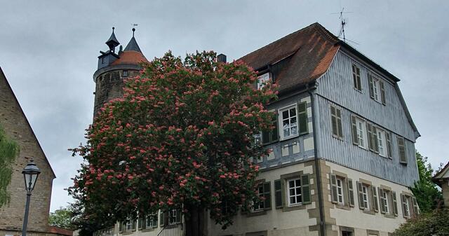 Foto: privat Sibylle Tröber und Esther Eder