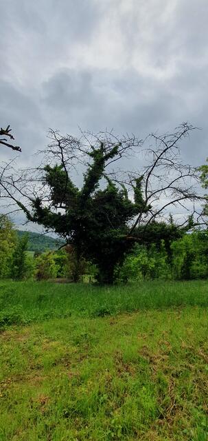 Foto: privat Sibylle Tröber und Esther Eder