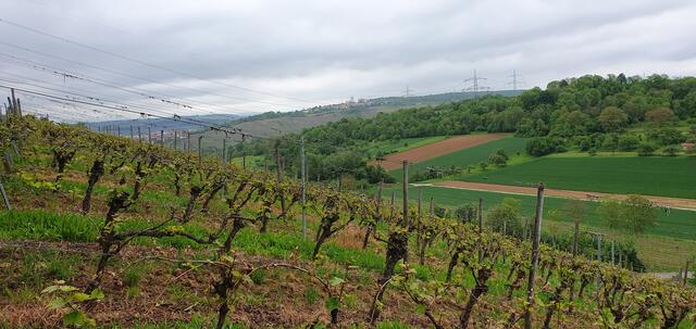 Foto: privat Sibylle Tröber und Esther Eder