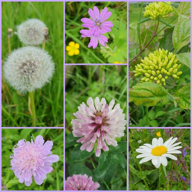 Foto: privat Sibylle Tröber und Esther Eder
