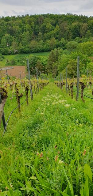 Foto: privat Sibylle Tröber und Esther Eder