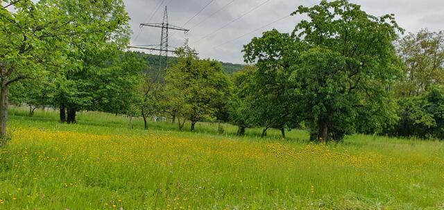 Foto: privat Sibylle Tröber und Esther Eder